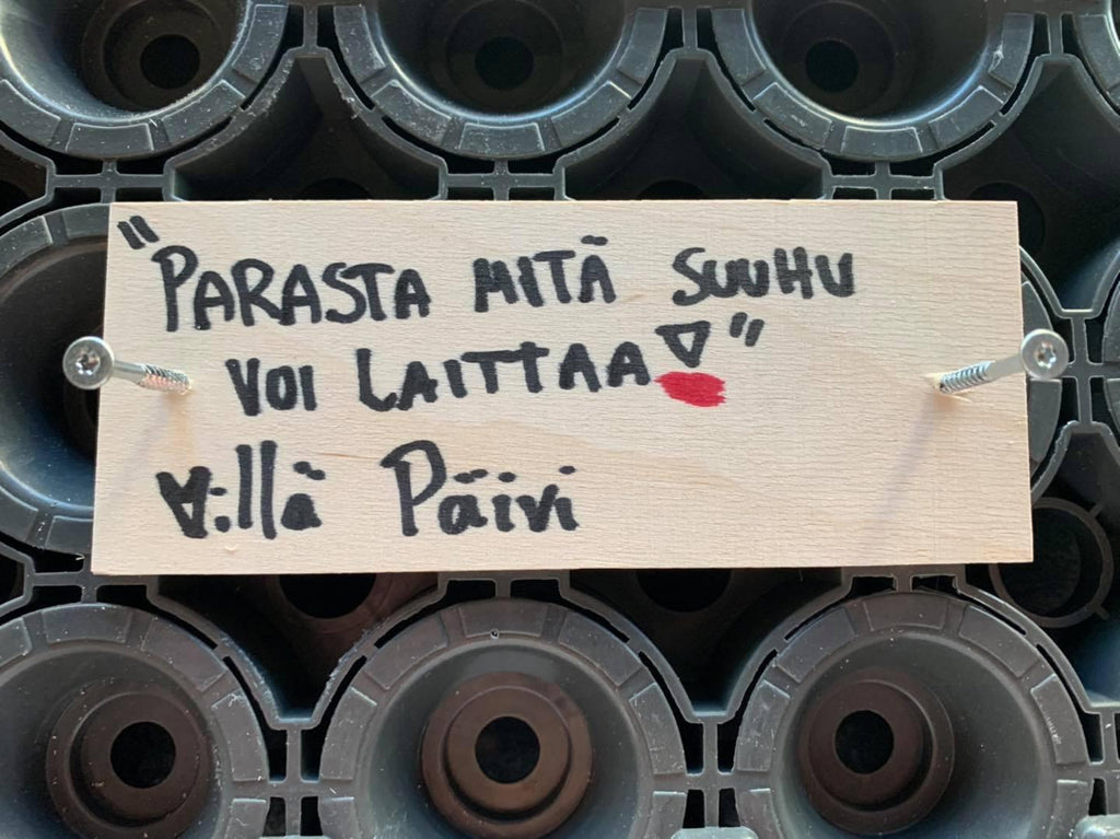 Kattolaatta