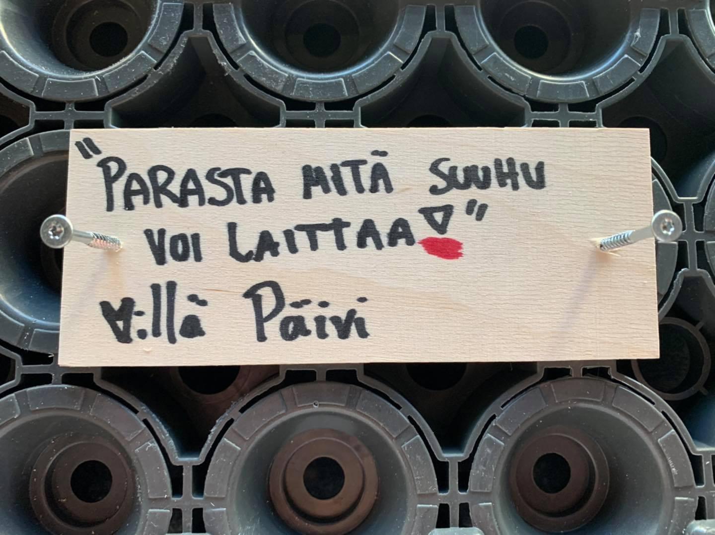 Kattolaatta
